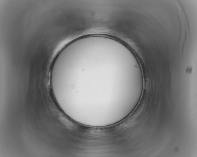 X0000091301366200709071044