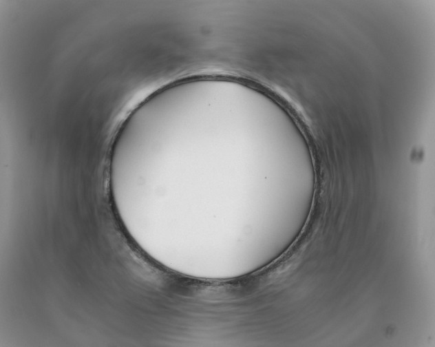 X0000091301367200709071044