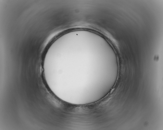 X0000091301368200709071044