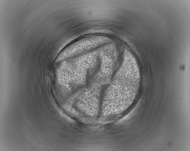 X0000091301369200709071044