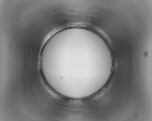 X0000091301370200709071044