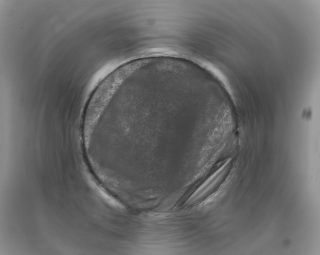 X0000091301373200709071044