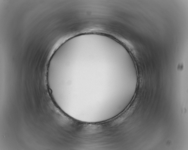 X0000091301374200709071044