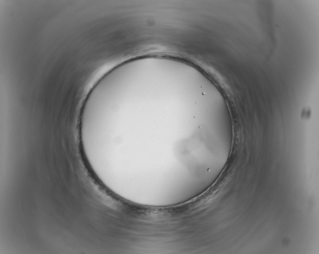 X0000091301375200709071044