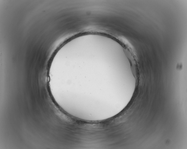 X0000091301376200709071044