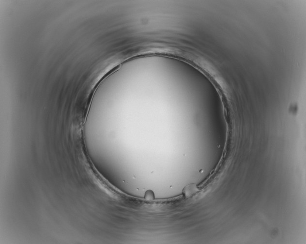 X0000091301377200709071044