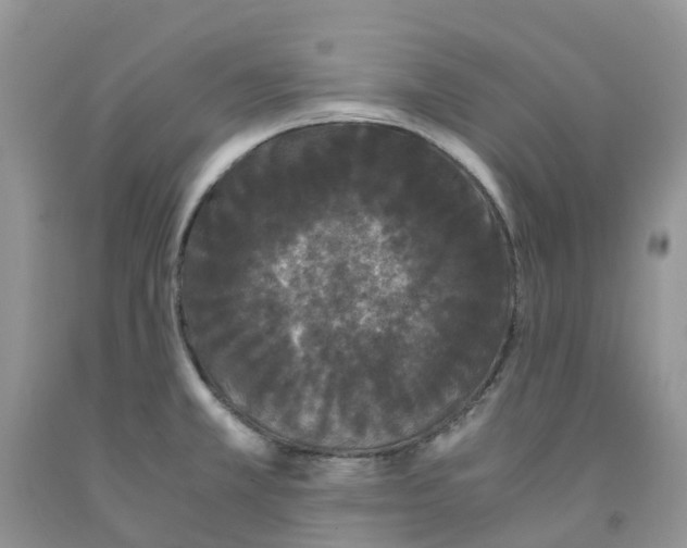 X0000091301381200709071044