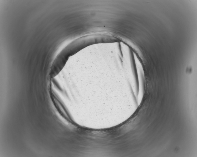 X0000091301383200709071044