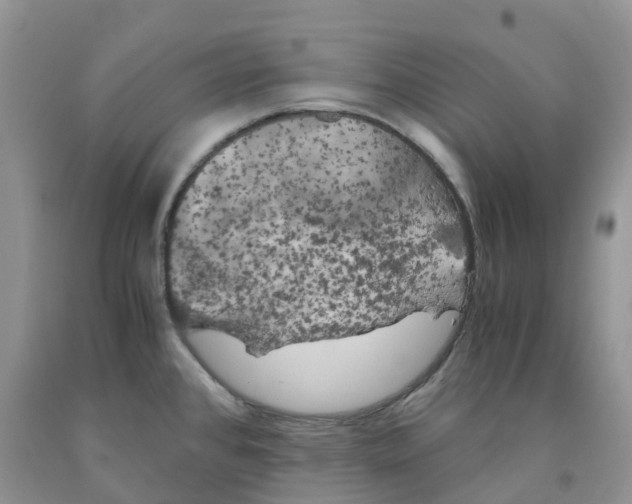 X0000091301384200709071044