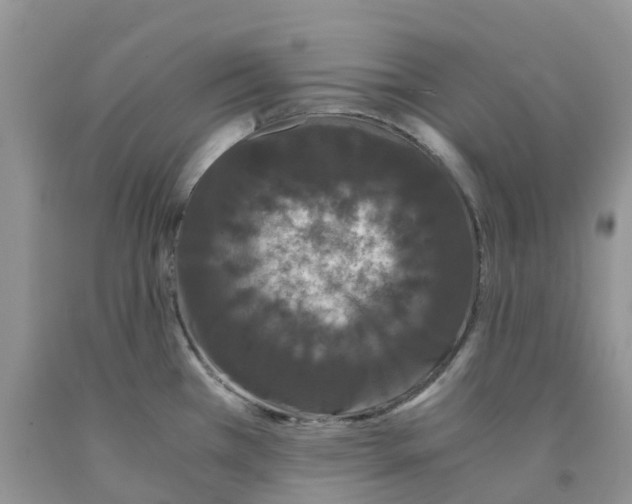 X0000091301385200709071044