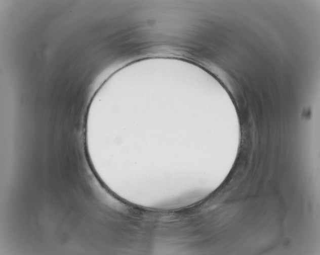 X0000091301387200709071044