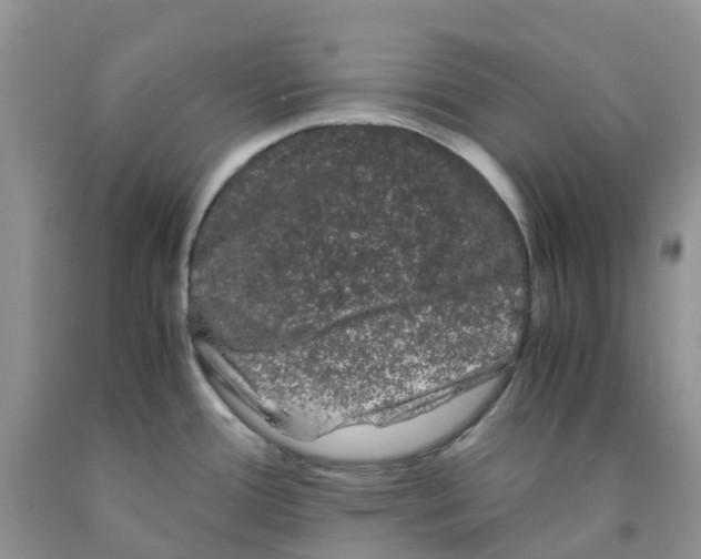 X0000091301388200709071044