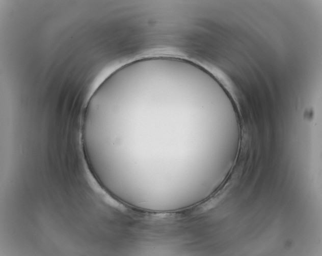 X0000091301390200709071044