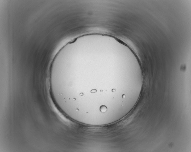 X0000091301391200709071044