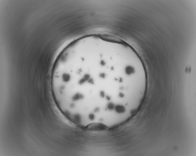 X0000091301392200709071044