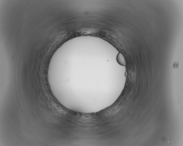 X0000091301393200709071043