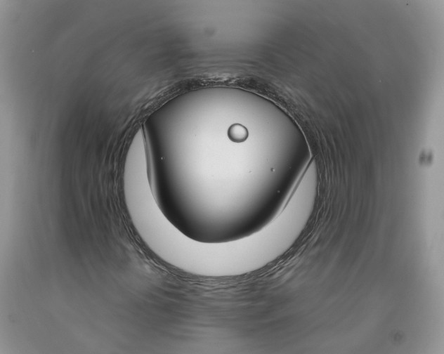 X0000091301394200709071043