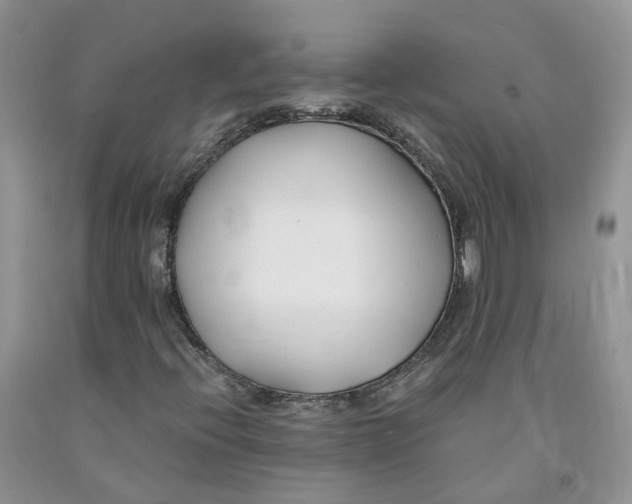 X0000091301396200709071043