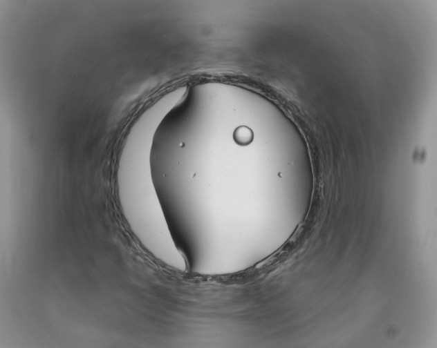 X0000091301398200709071043