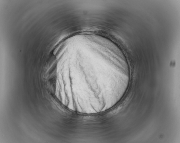 X0000091301401200709071043