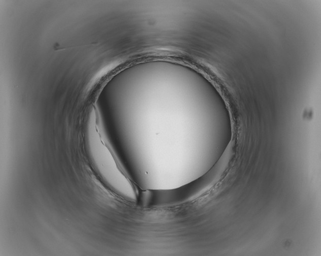 X0000091301402200709071043