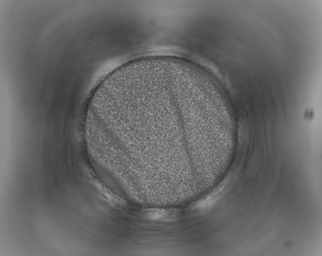 X0000091301405200709071043