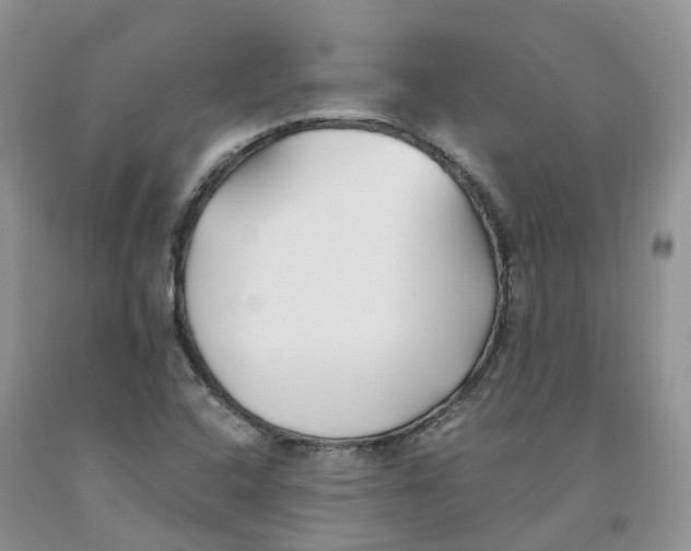 X0000091301408200709071043