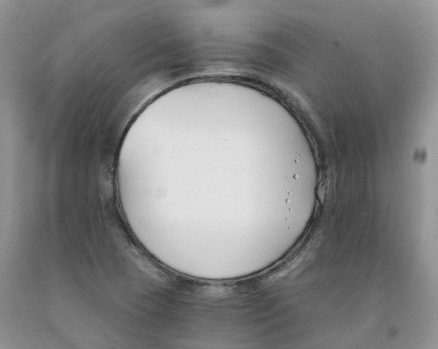 X0000091301409200709071043