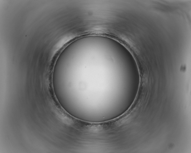 X0000091301410200709071043