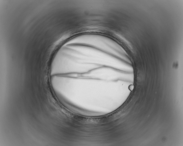 X0000091301411200709071043