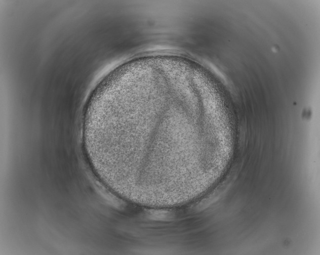 X0000091301413200709071043