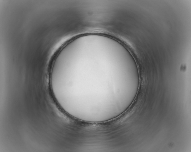 X0000091301414200709071043