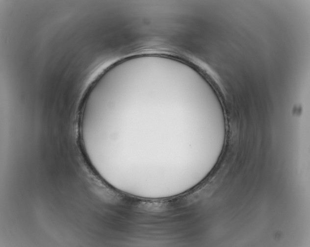 X0000091301415200709071043