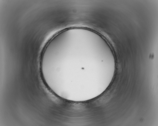 X0000091301416200709071043