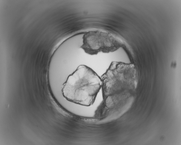 X0000091301417200709071043