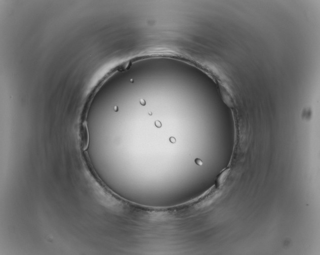 X0000091301422200709071043