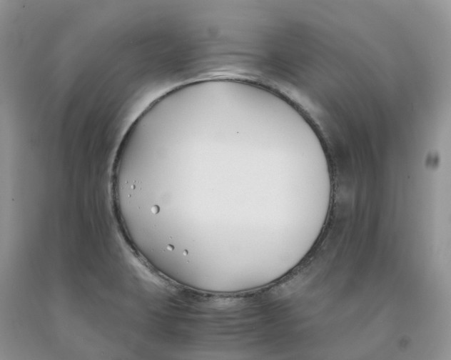 X0000091301423200709071043