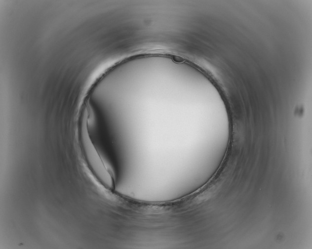 X0000091301424200709071043