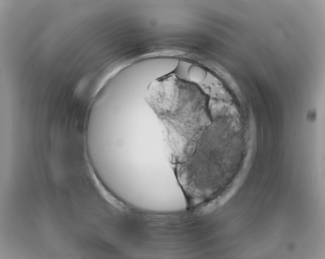 X0000091301425200709071043