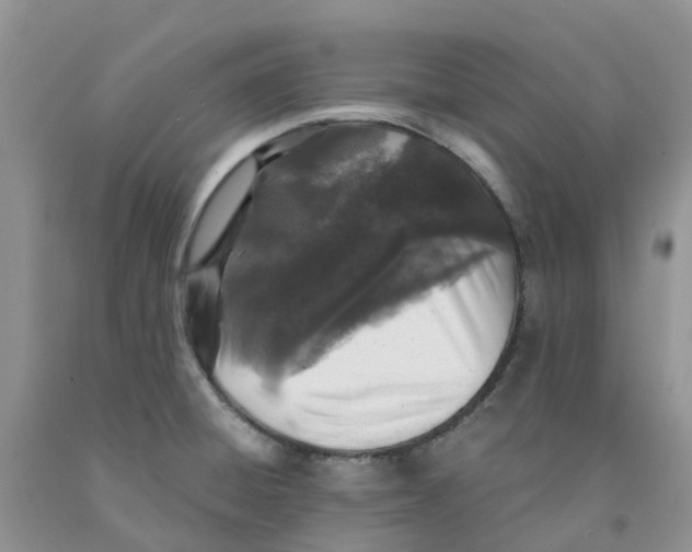 X0000091301428200709071043