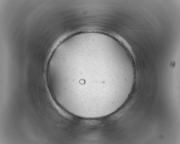 X0000091301429200709071043