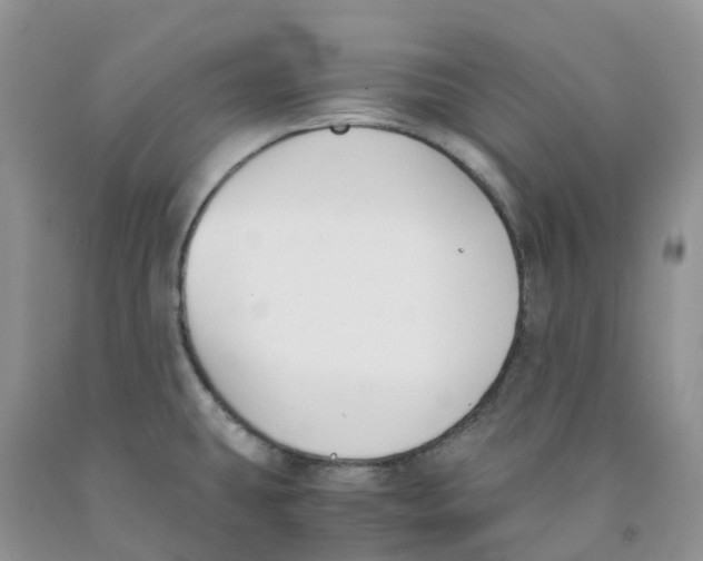 X0000091301431200709071043