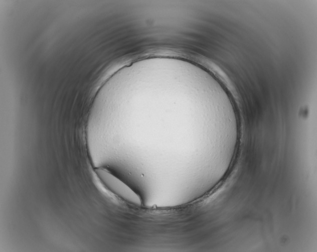 X0000091301433200709071043