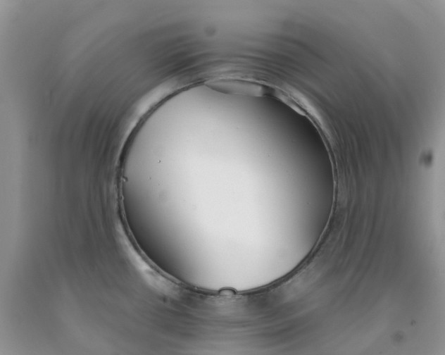 X0000091301434200709071043