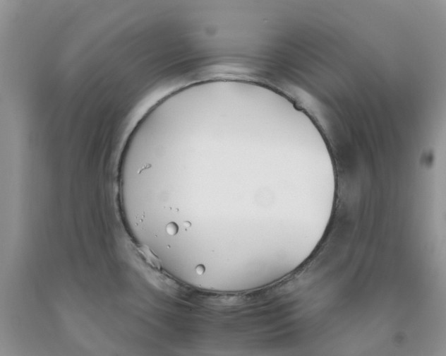 X0000091301435200709071044