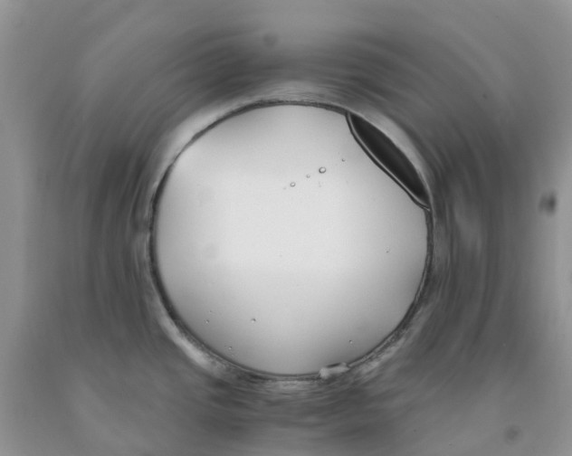 X0000091301437200709071044