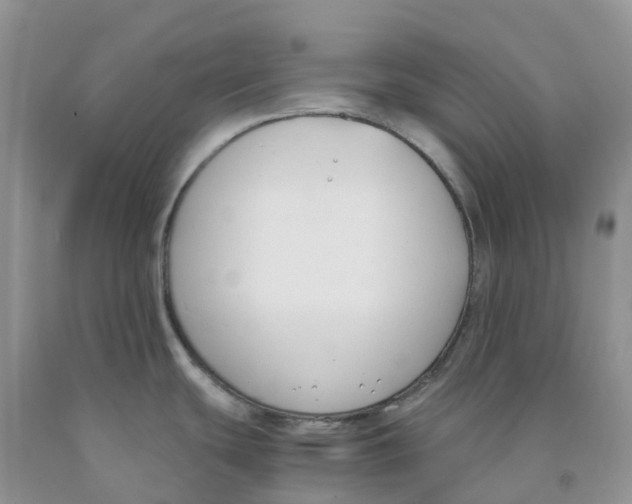 X0000091301439200709071044