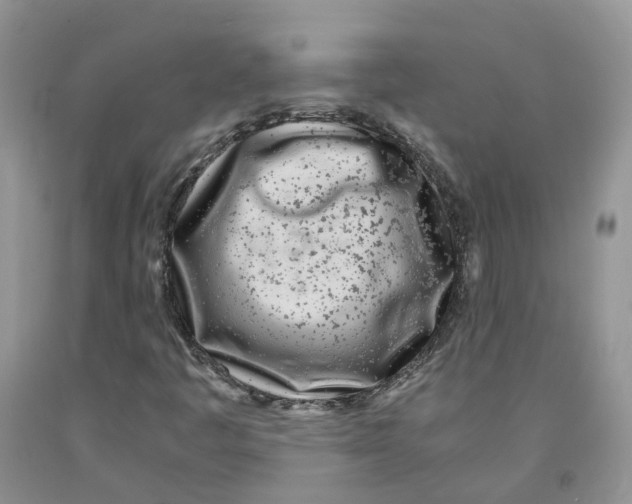 X0000091301445200709071043