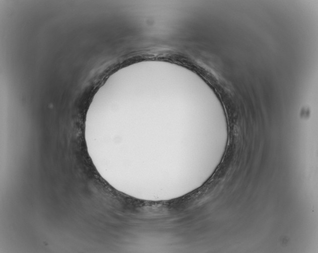 X0000091301447200709071043