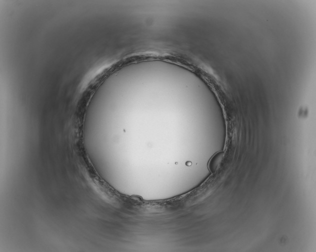 X0000091301448200709071043